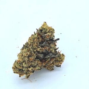 Hamilton marijuana