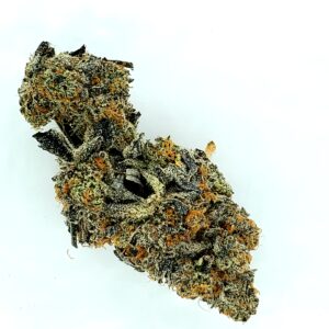 Hamilton marijuana